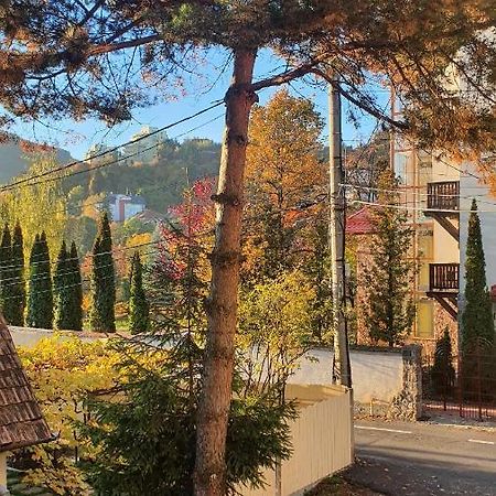 Central Luxury Apartment With City View Brasov Exterior photo